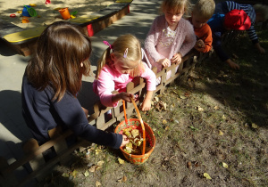 Dzieci zbierają jesienne liście do pomarańczowego koszyczka.